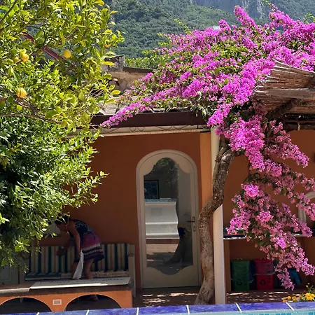 Villa Ambra Positano Apartment *