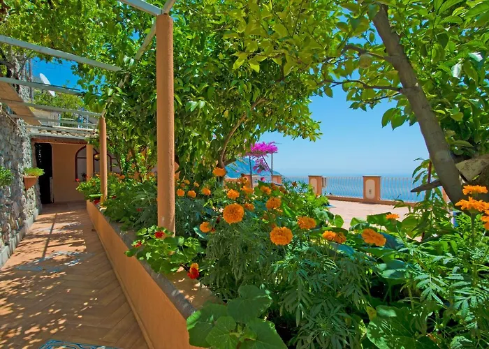 Ambra Positano